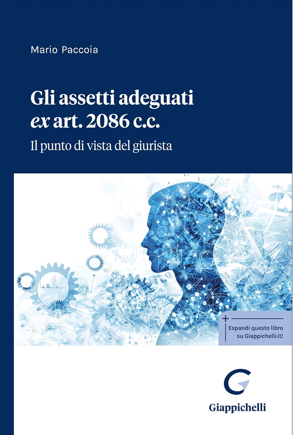 Gli assetti adeguati ex art. 2086 c.c. Il punto di vista del giurista