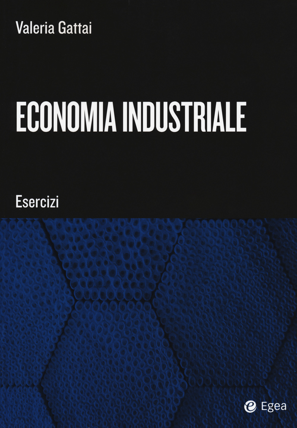 Economia industriale. Esercizi