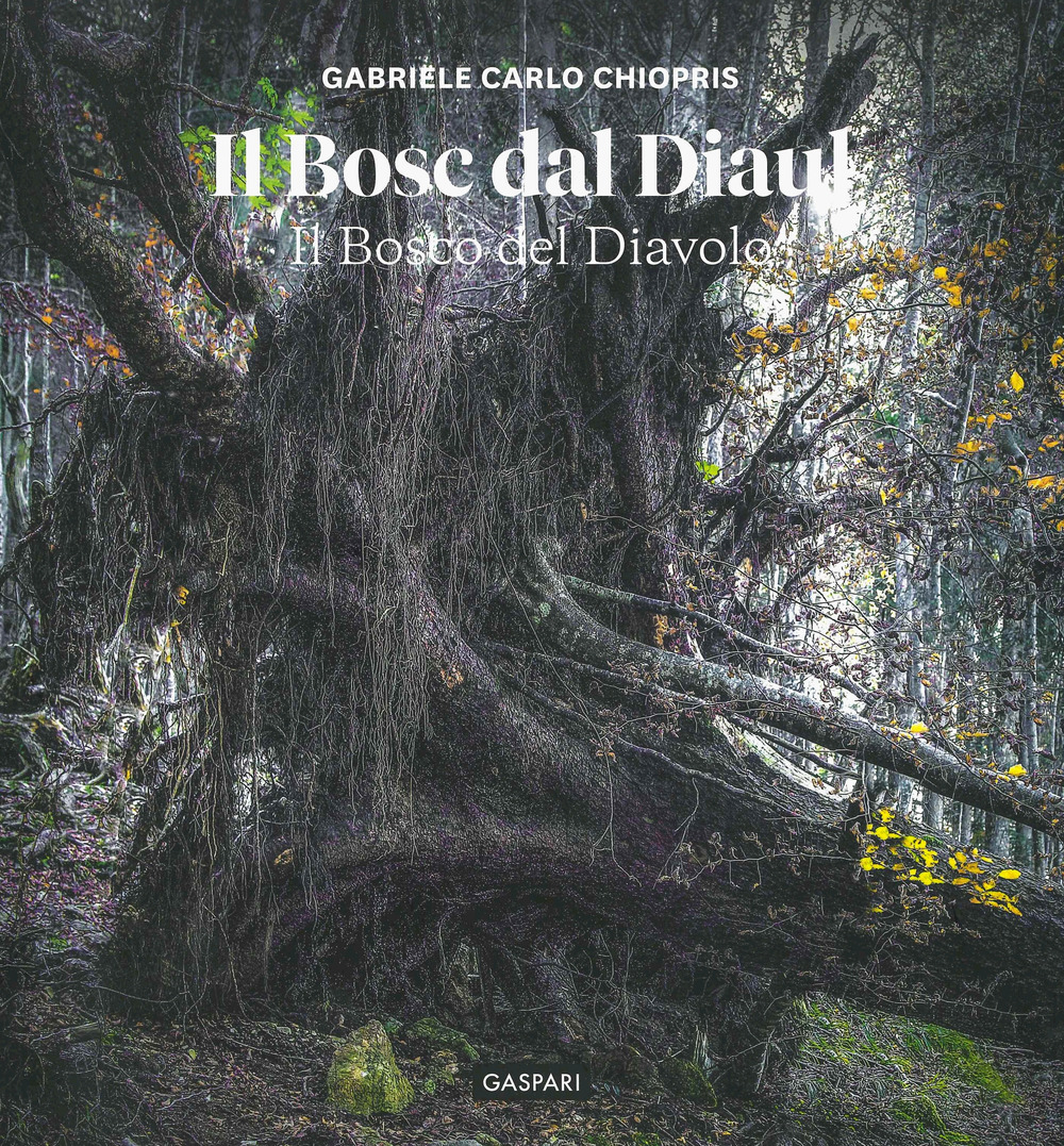 Il bosc dal diaul. Il bosco del diavolo. Ediz. a colori