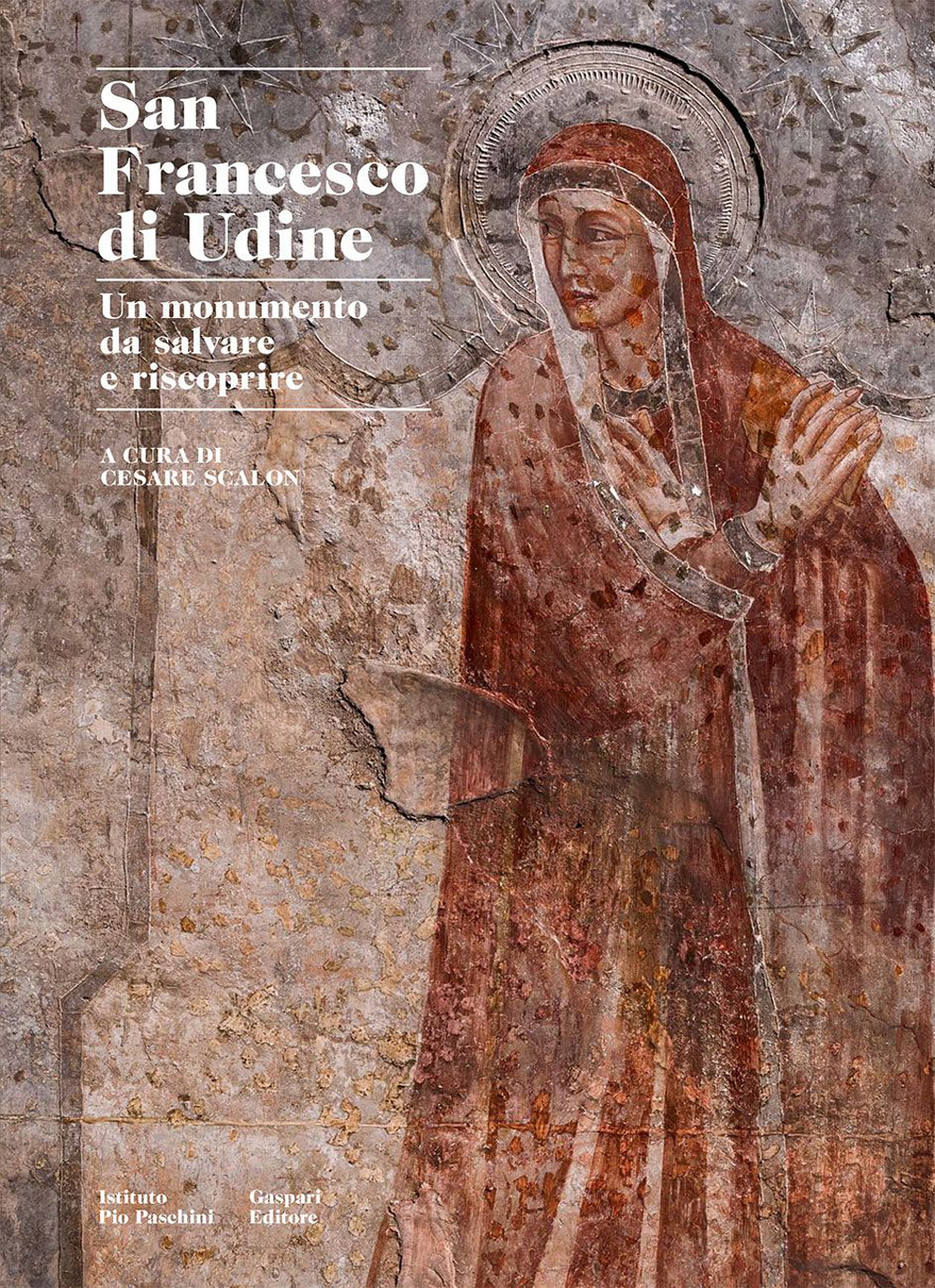 San Francesco di Udine. Un monumento da salvare e riscoprire. Ediz. illustrata