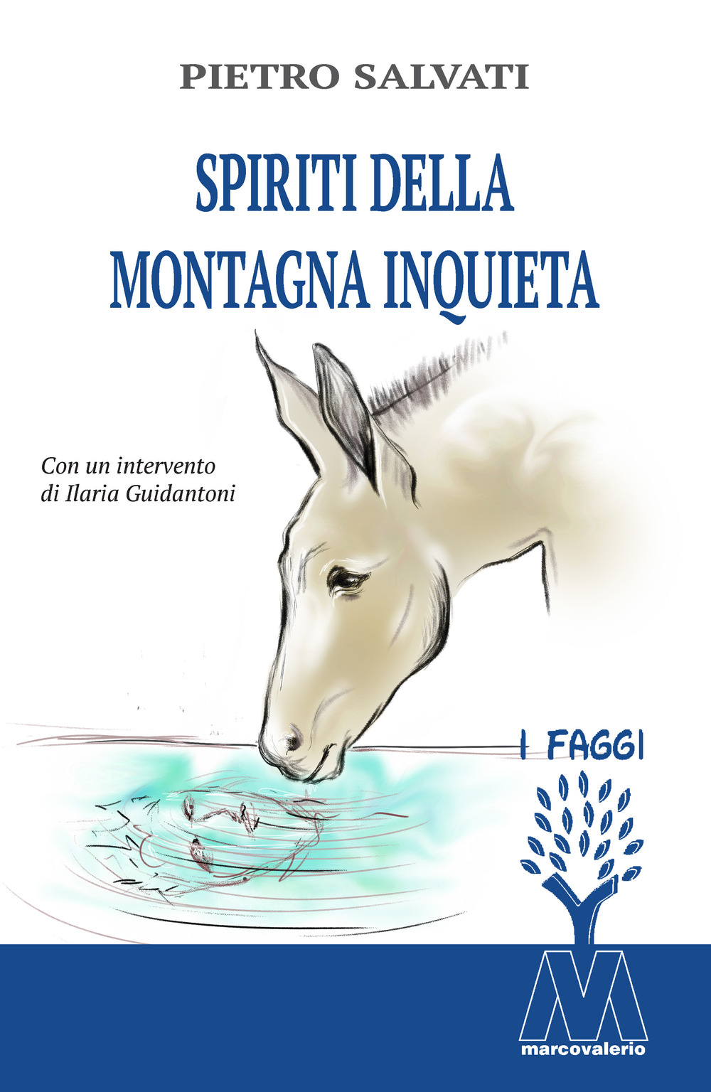 Spiriti della montagna inquieta. Nuova ediz.