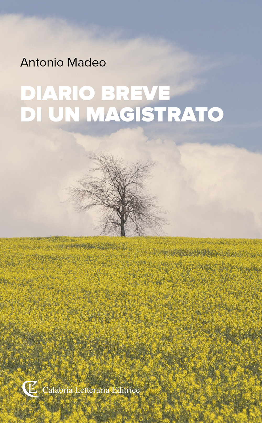 Diario breve di un magistrato