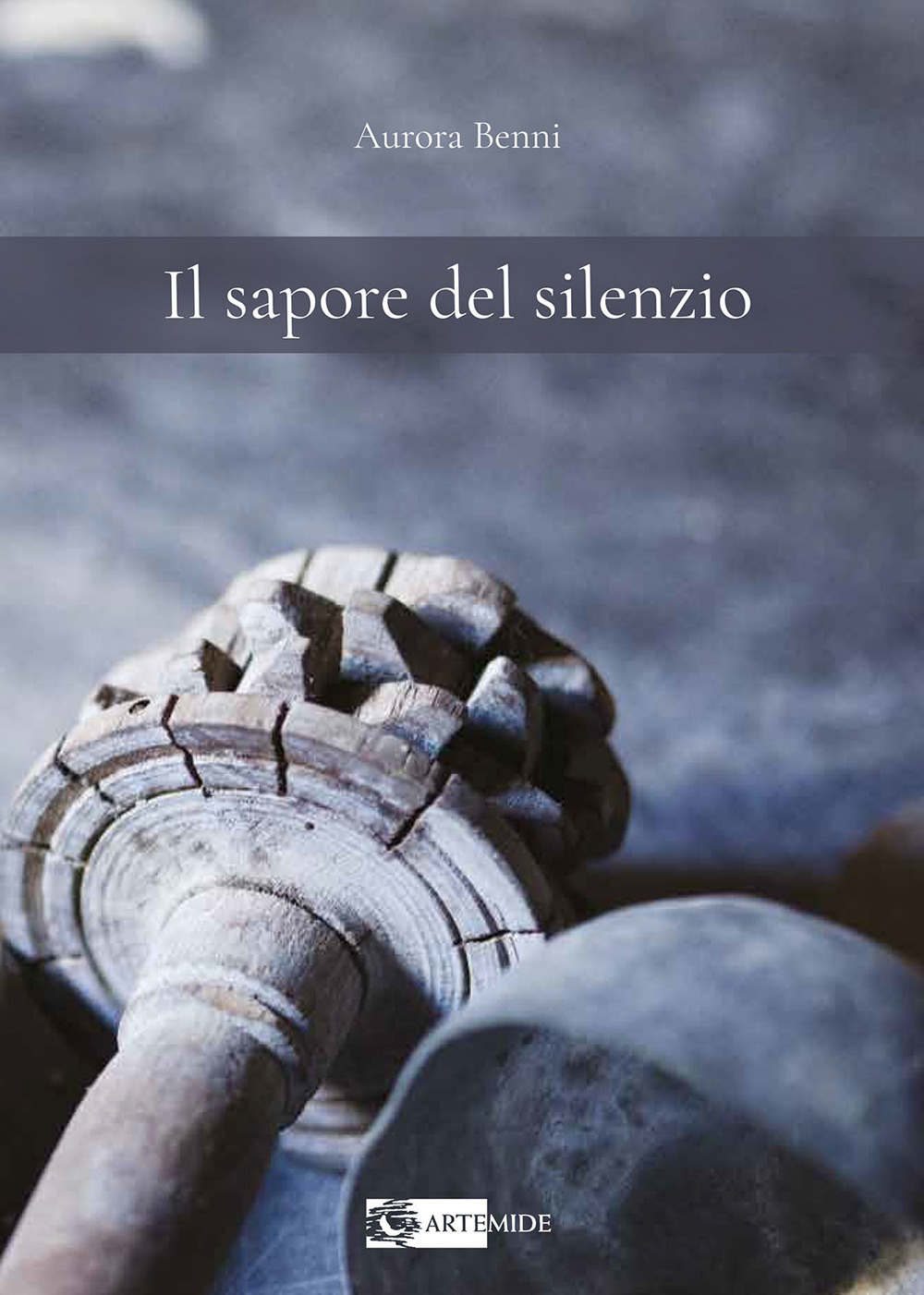 Il sapore del silenzio