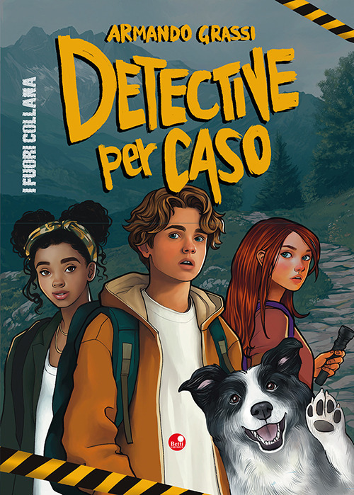 Detective per caso