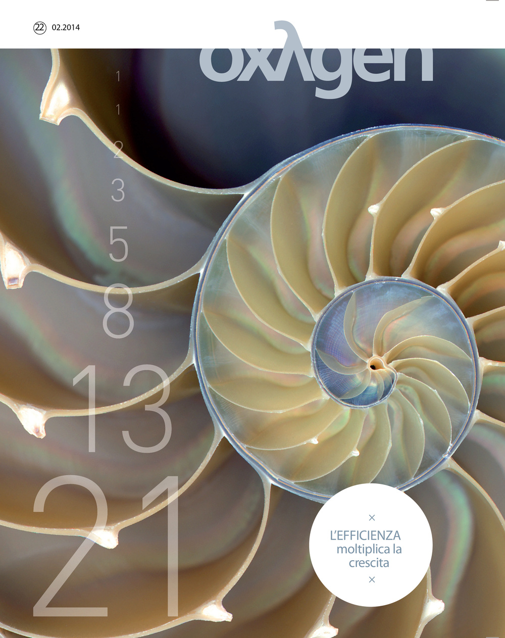 Oxygen. La scienza per tutti. Ediz. italiana e inglese. Vol. 22: L'efficienza moltiplica la crescita