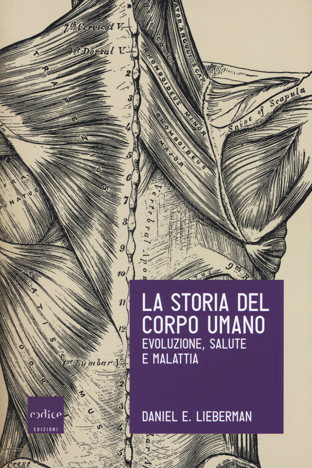 La storia del corpo umano. Evoluzione, salute e malattia