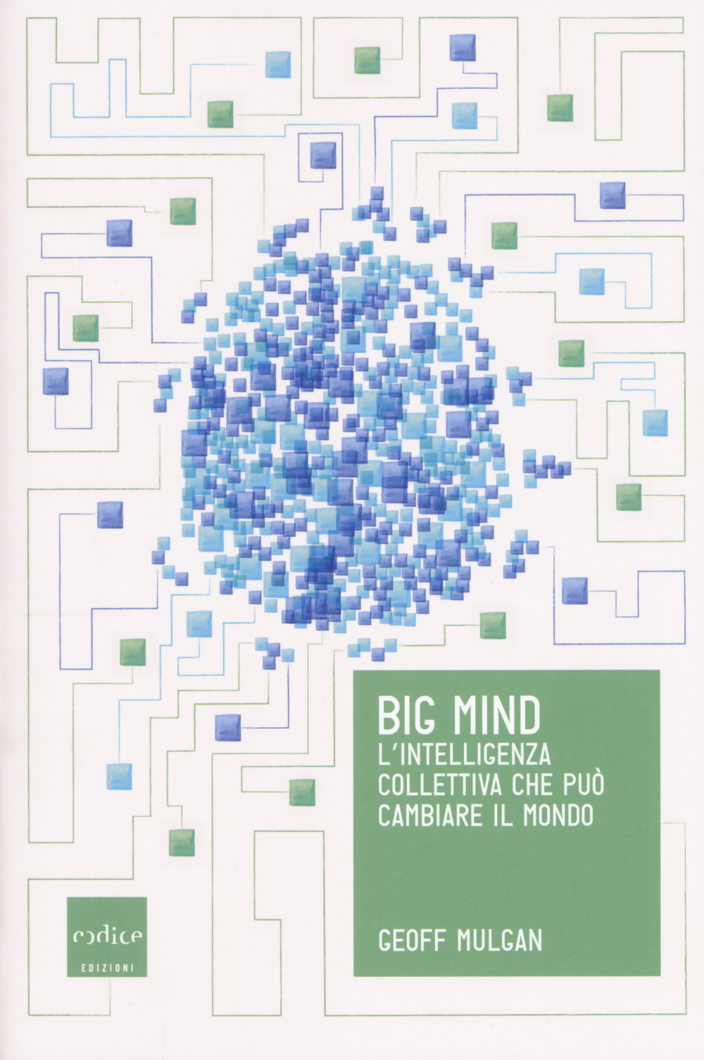 Big mind. L'intelligenza collettiva che può cambiare il mondo