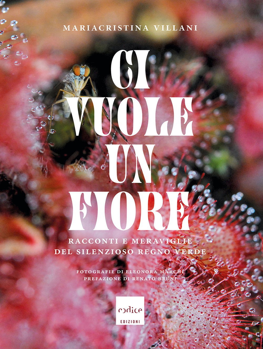 Ci vuole un fiore. Racconti e meraviglie del silenzioso regno verde. Ediz. a colori