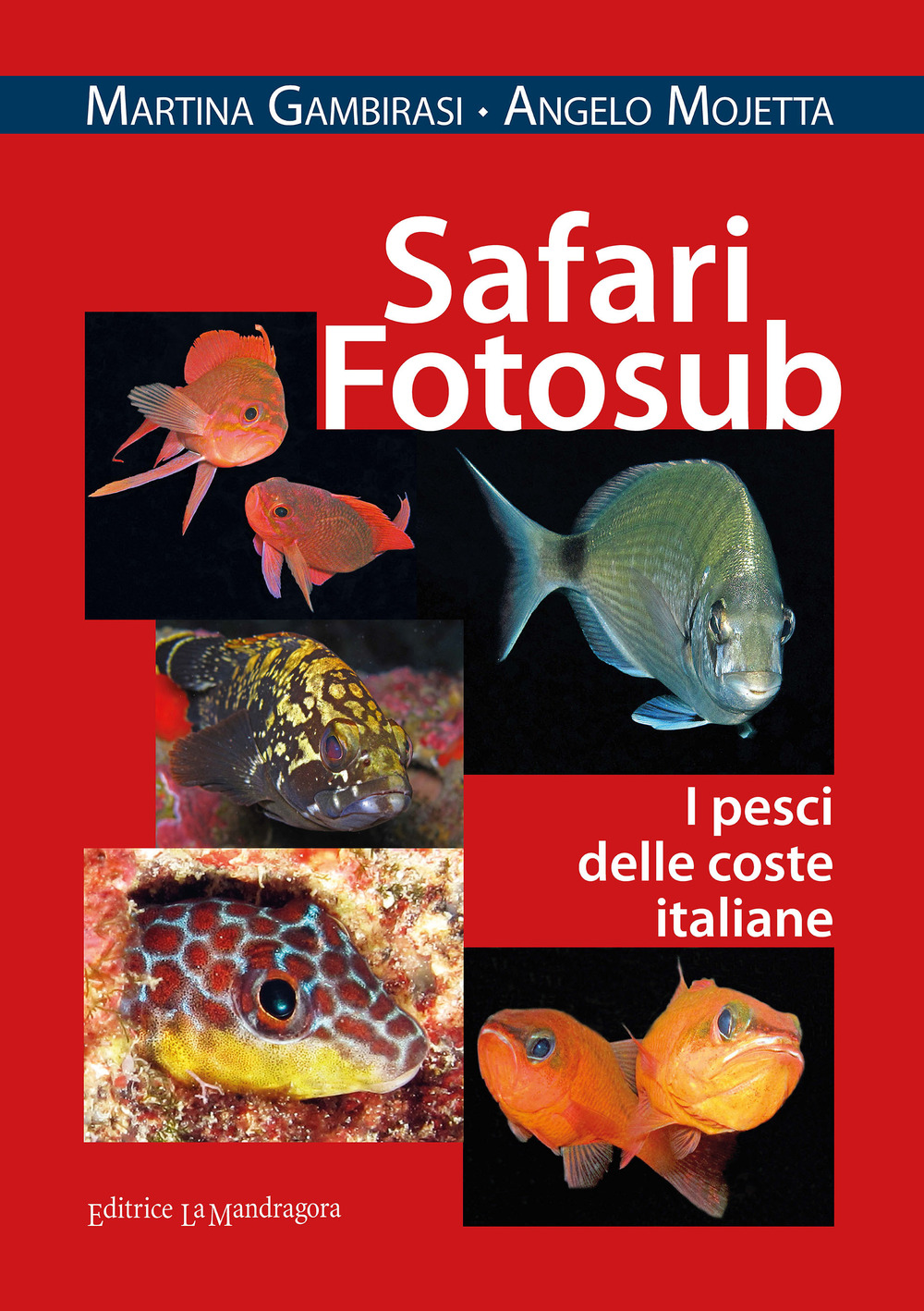 Safari fotosub. I pesci delle coste italiane. Ediz. illustrata