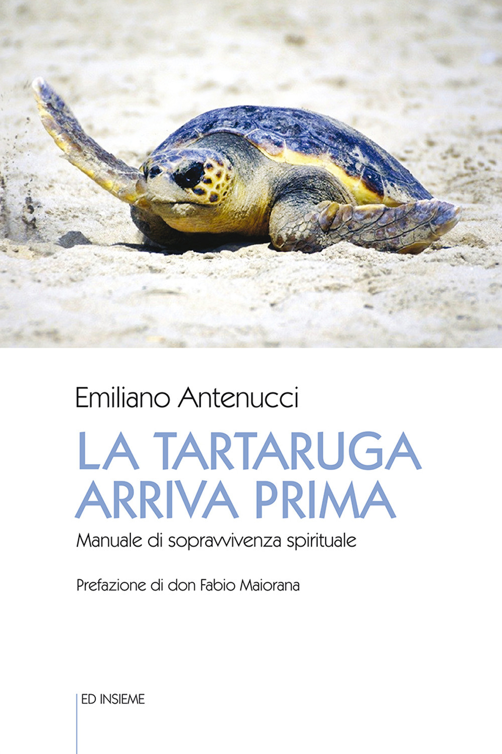 La tartaruga arriva prima. Manuale di sopravvivenza spirituale