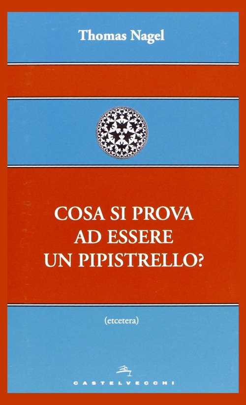 Cosa si prova ad essere un pipistrello?