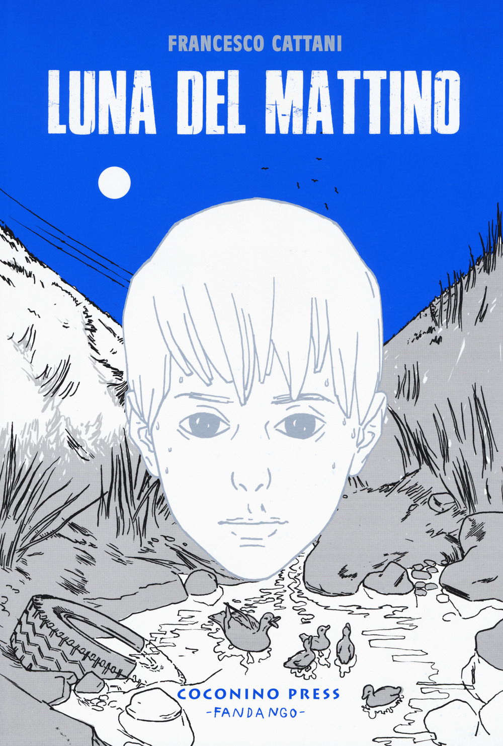 Luna del mattino