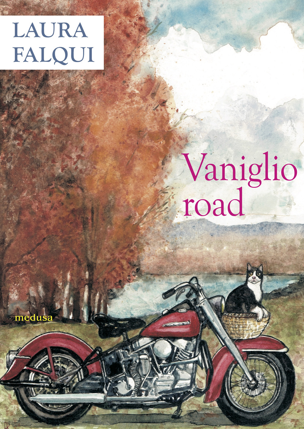 Vaniglio road