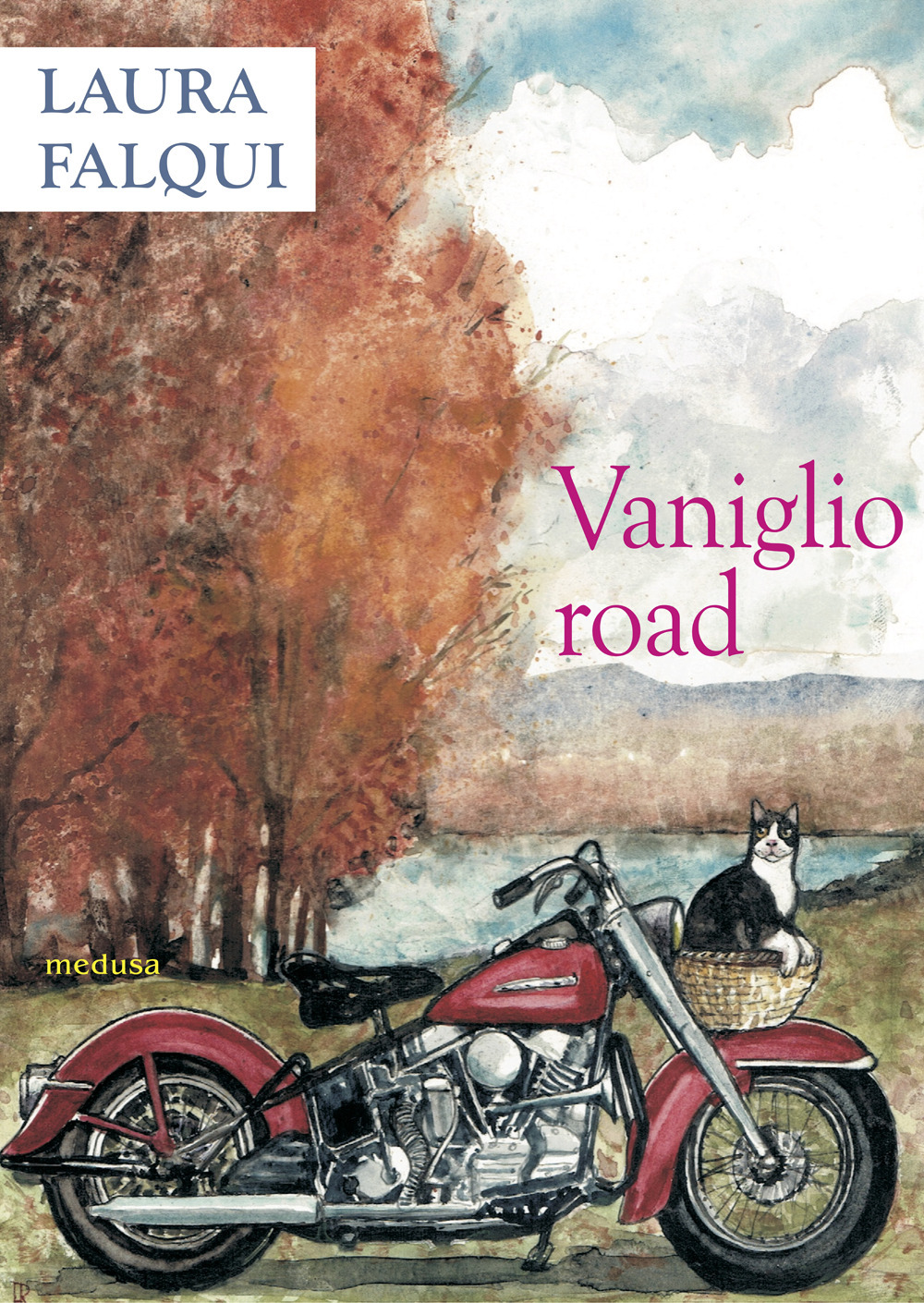 Vaniglio road