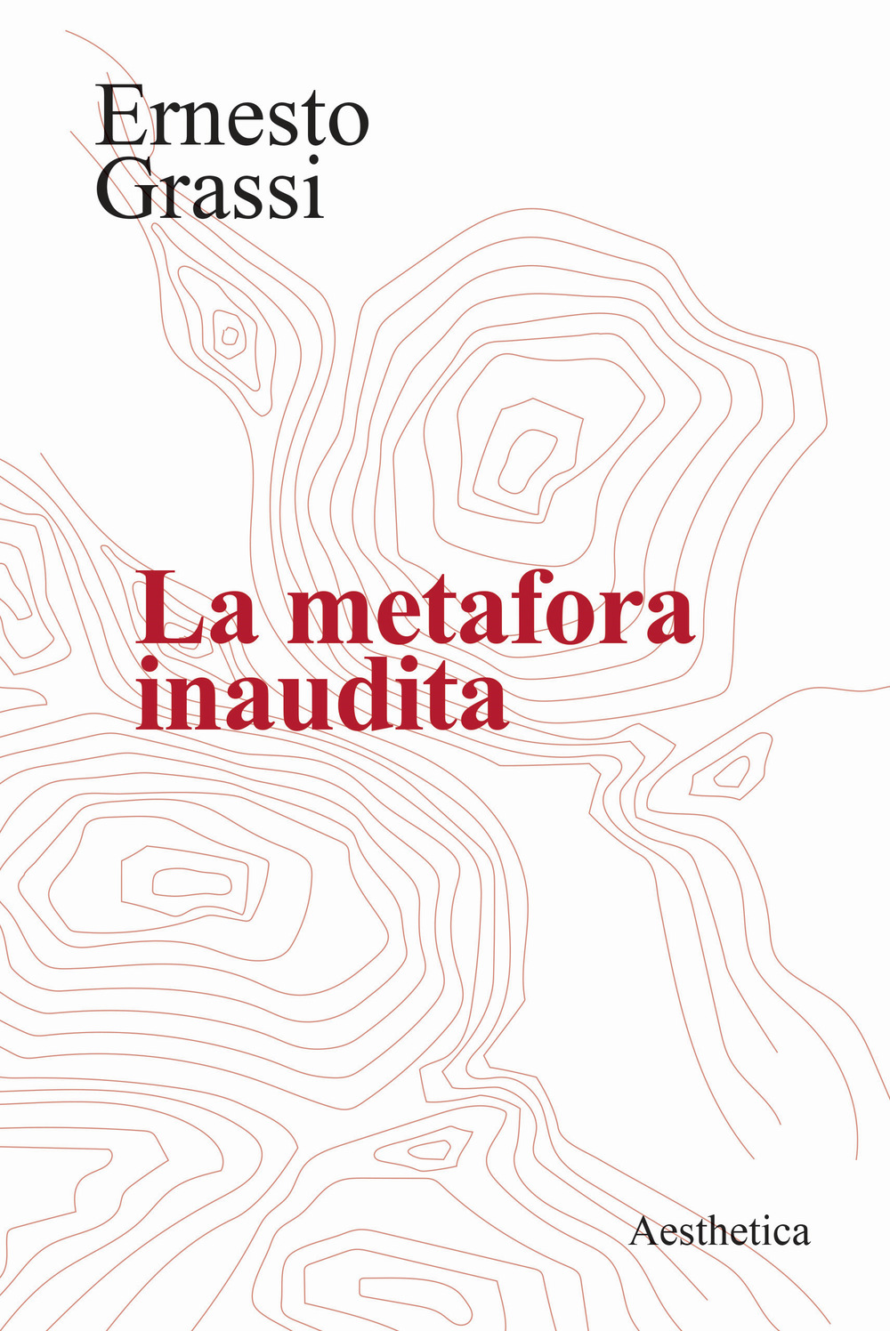 La metafora inaudita