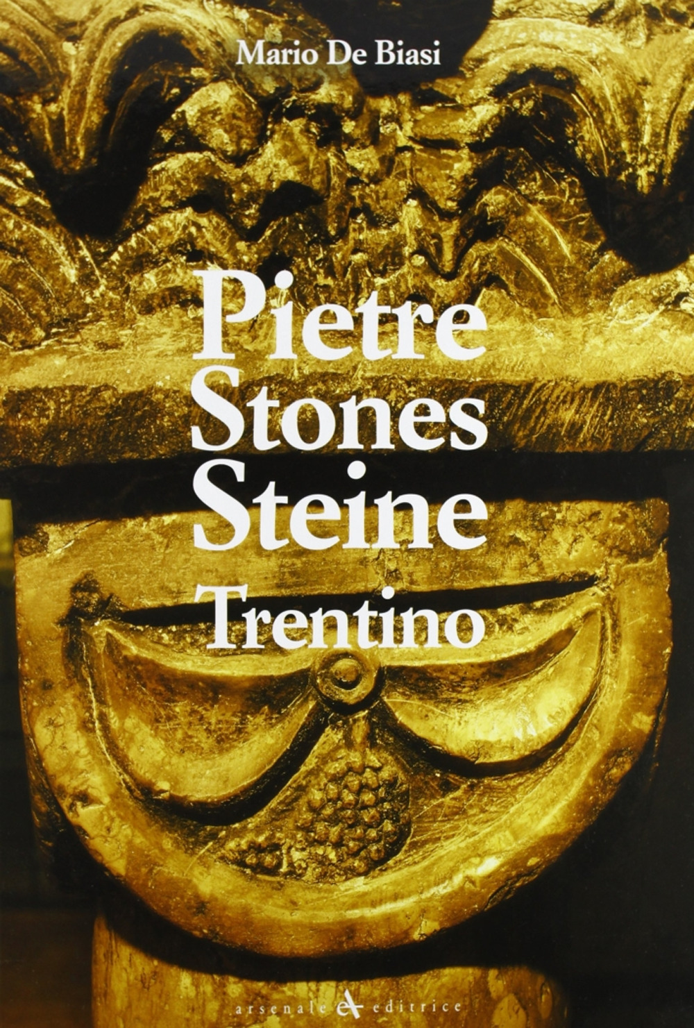 Pietre Stones Steine. Trentino. Ediz. multilingue