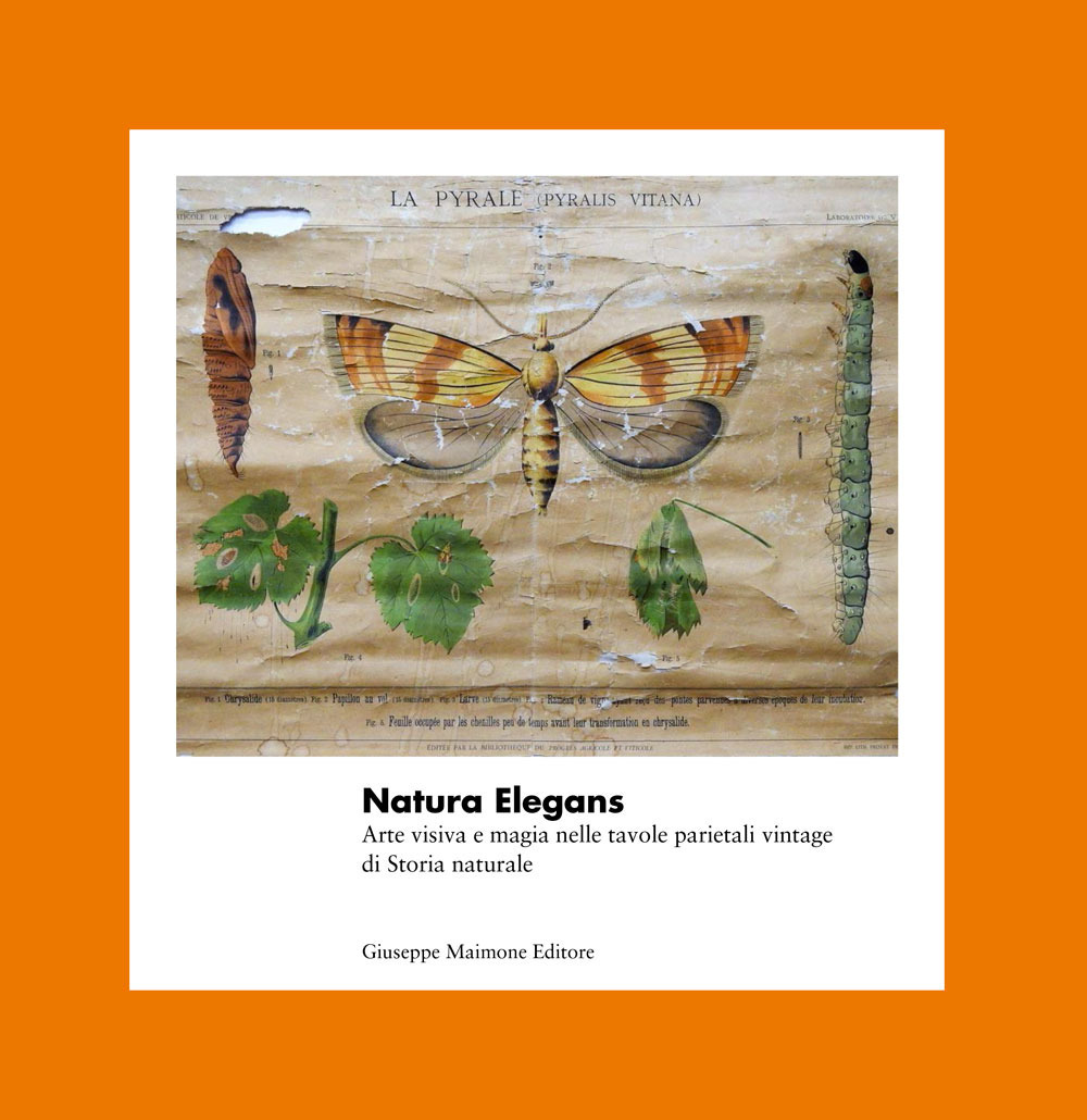 Natura elegans. Arte visiva e magia nelle tavole parietali vintage di Storia naturale. Ediz. illustrata