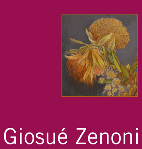 Giosuè Zenoni. Ediz. illustrata