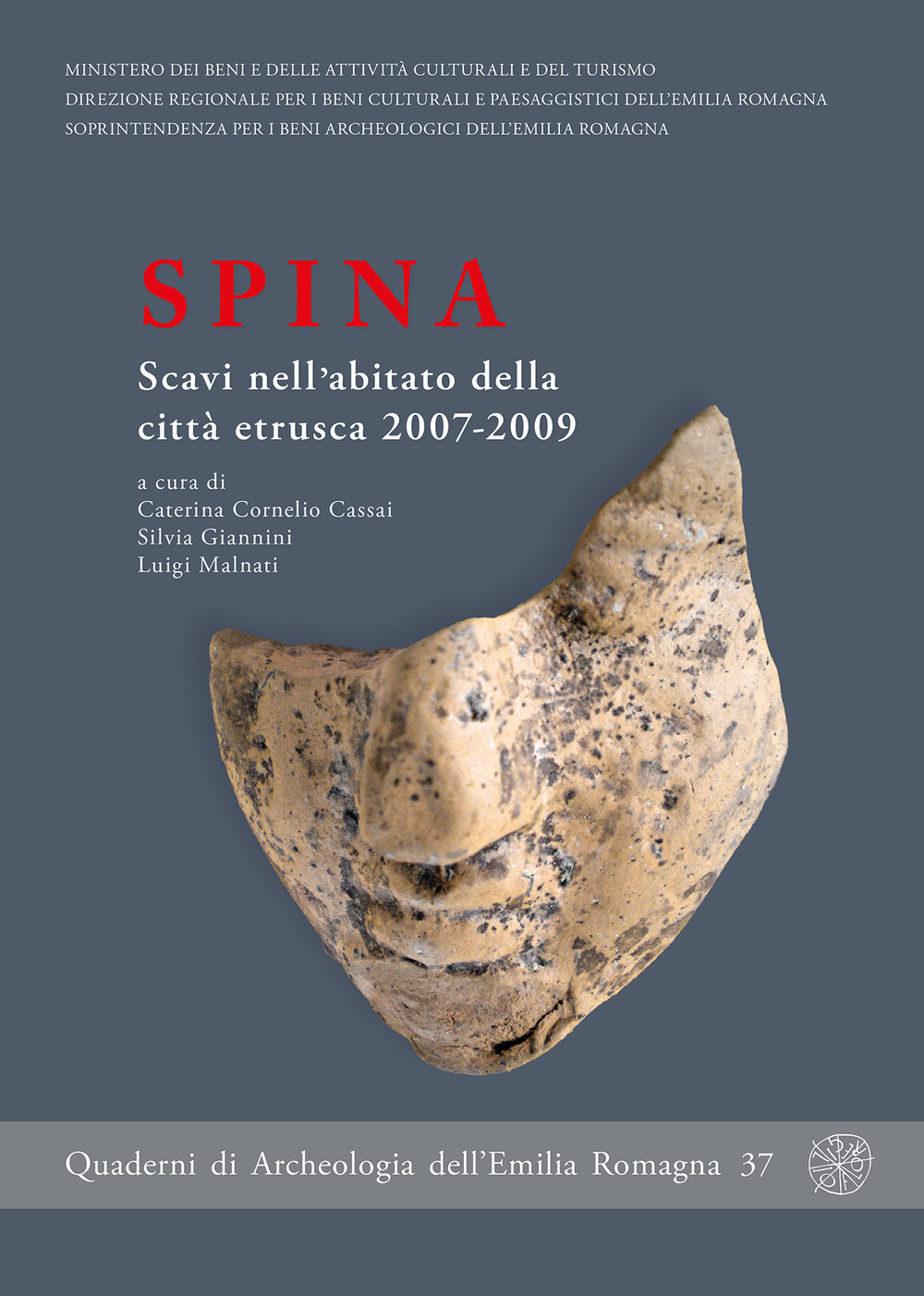 Spina. Scavi nell'abitato della città etrusca 2007-2009