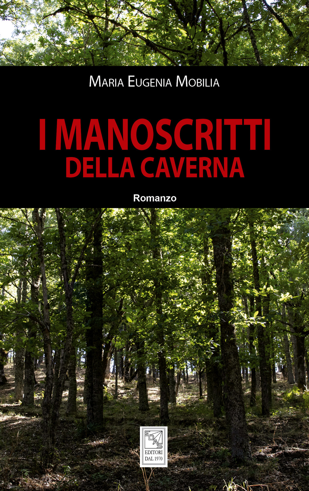 I manoscritti della caverna