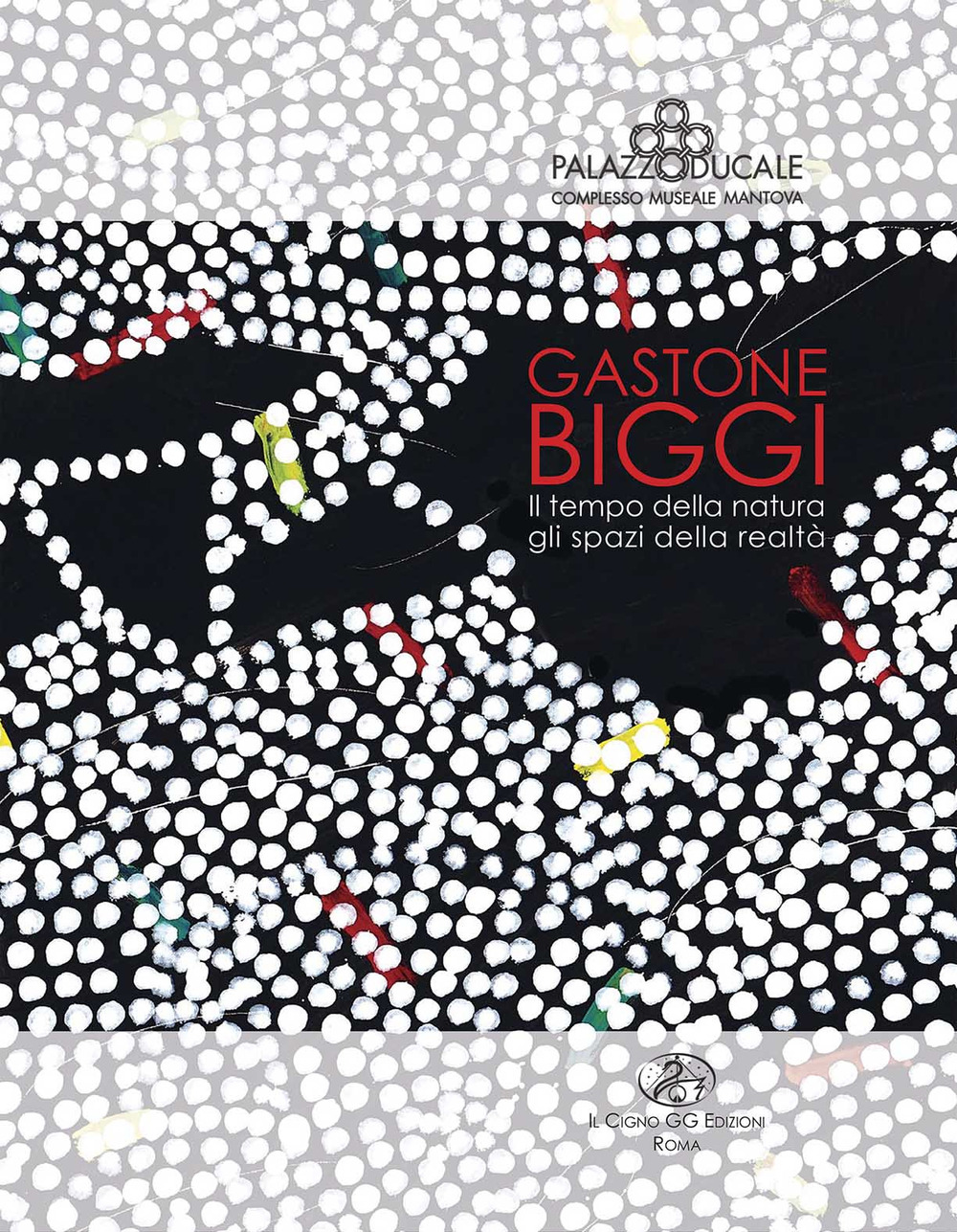 Gastone Biggi. Il tempo della natura, gli spazi della realtà. Ediz. illustrata