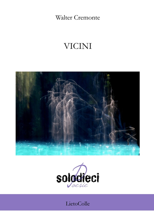 Vicini