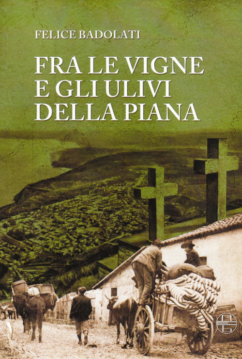 Fra le vigne e gli ulivi della piana