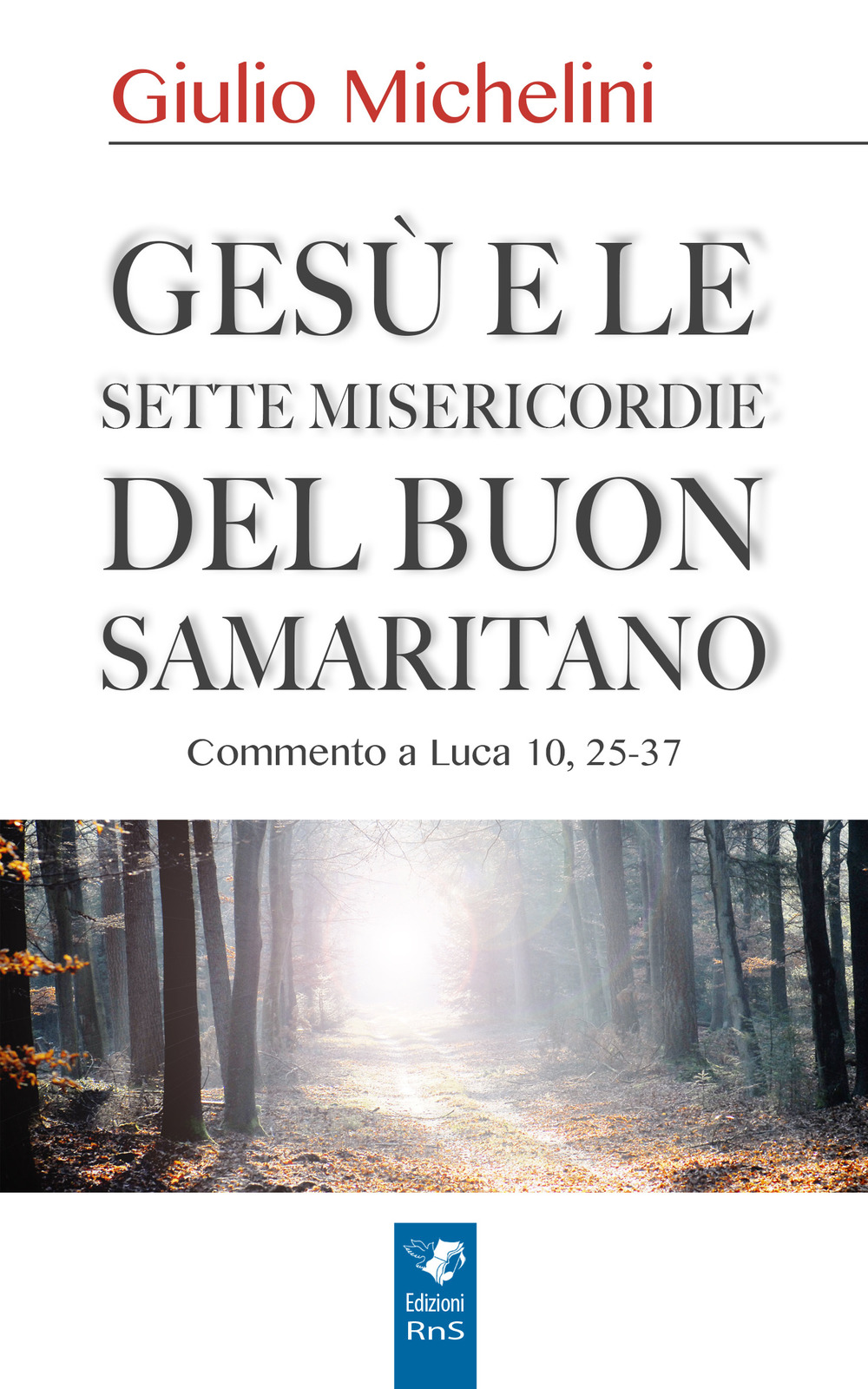 Gesù e le sette misericordie del buon samaritano