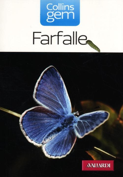 Farfalle