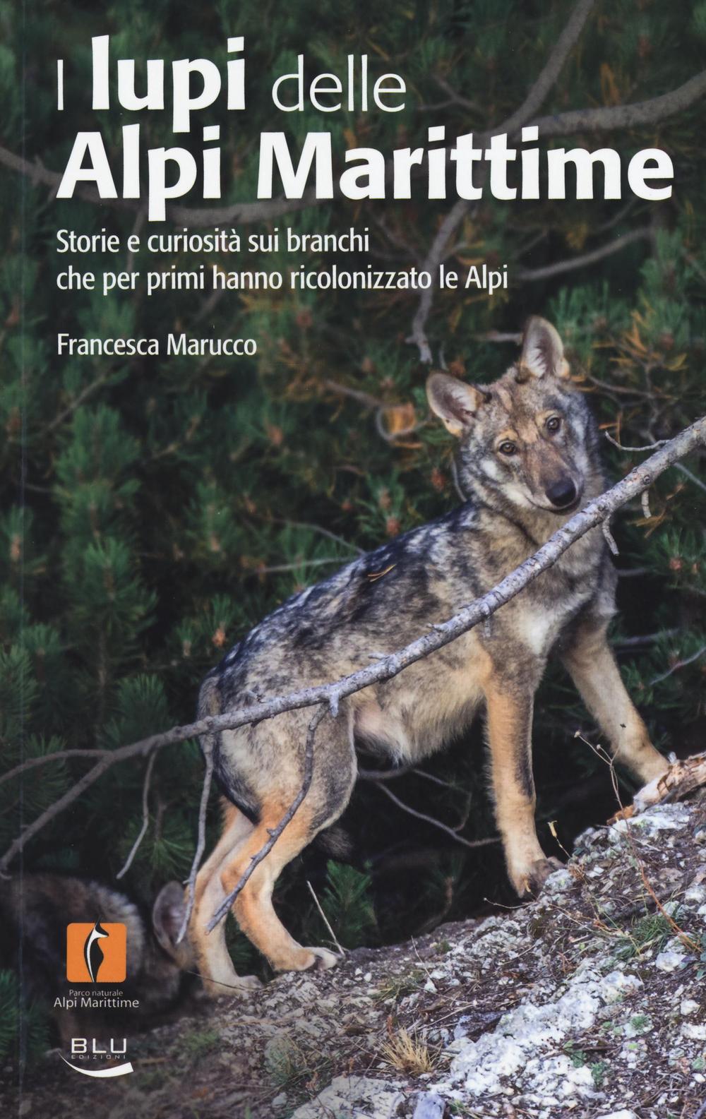 I lupi delle Alpi Marittime. Storie e curiosità sui branchi che per primi hanno ricolonizzato le Alpi. Ediz. illustrata