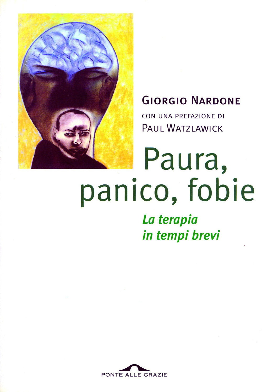 Paura, panico, fobie. La terapia in tempi brevi