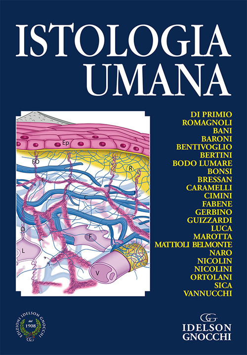 Istologia umana