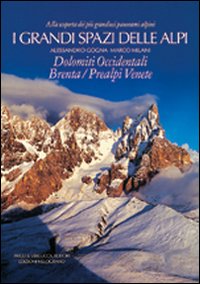 I grandi spazi delle Alpi. Ediz. illustrata. Vol. 7: Dolomiti occidentali, Brenta, Prealpi Venete