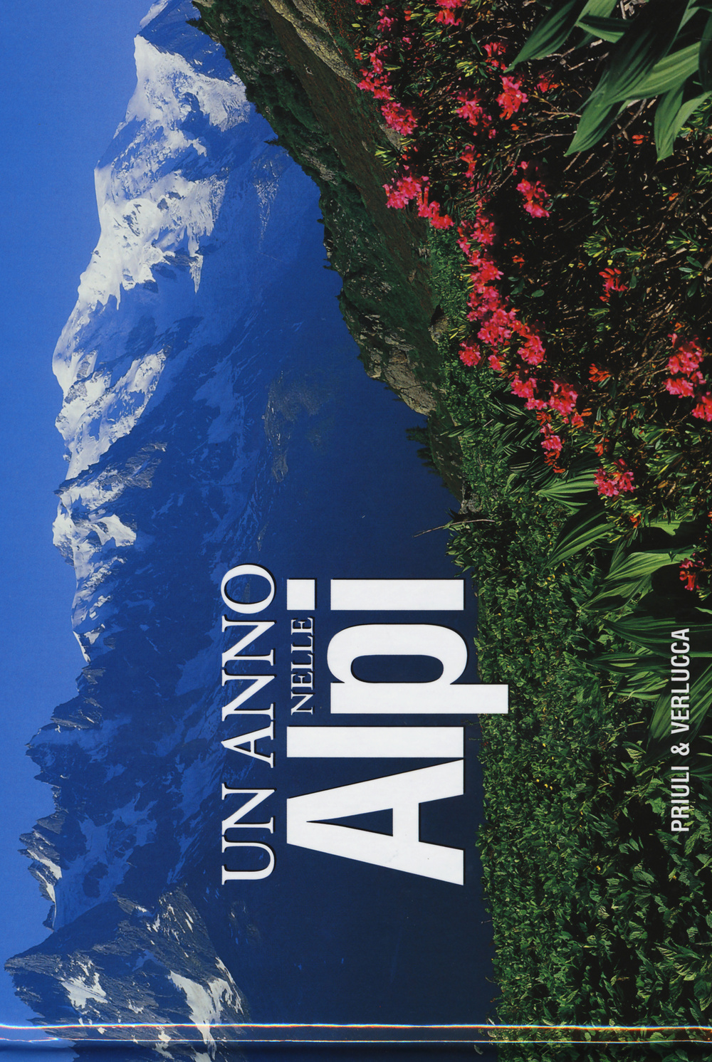 Un anno nelle Alpi. Ediz. illustrata