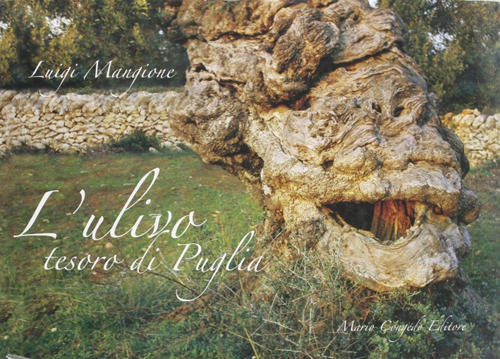 L'ulivo tesoro di Puglia