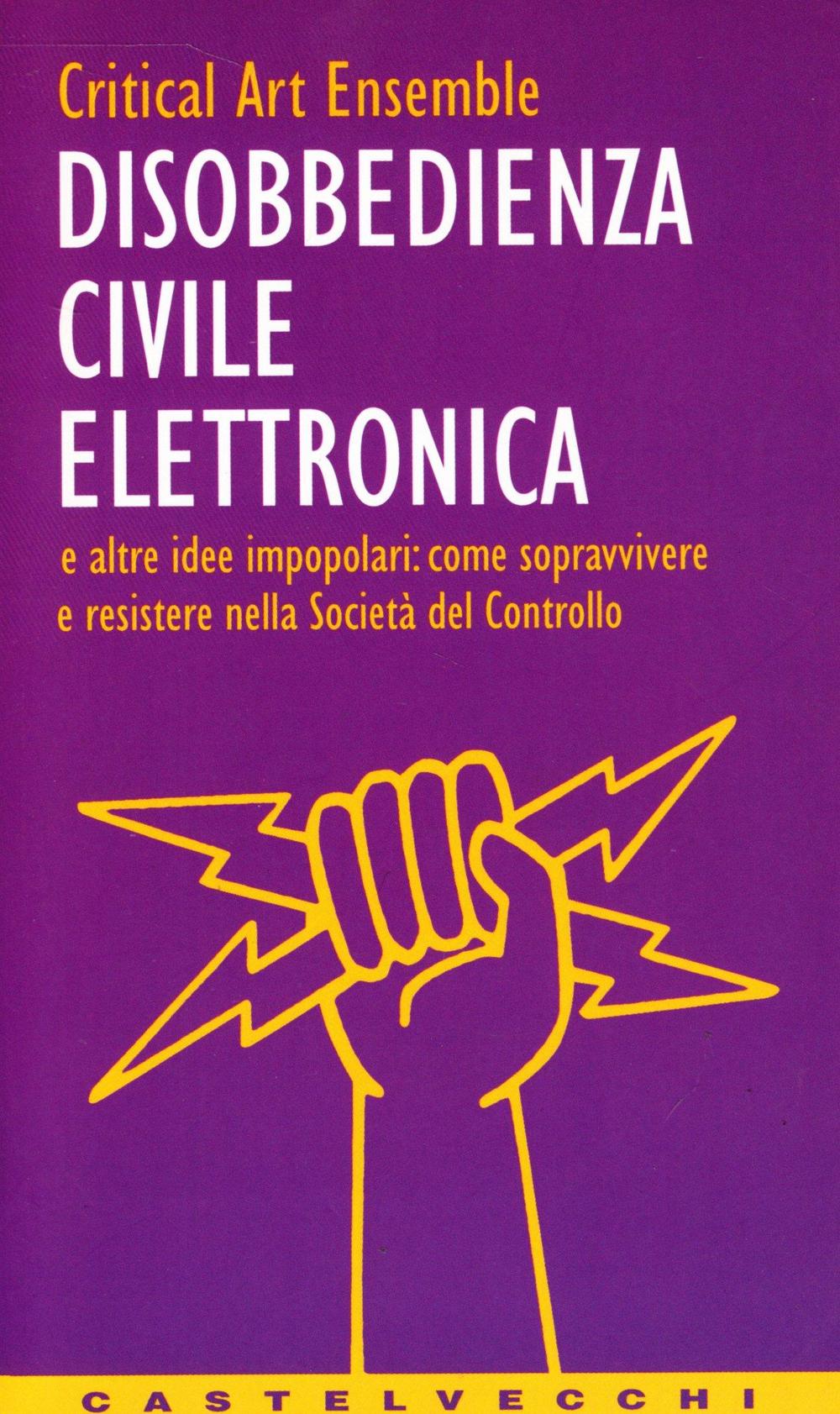 Disobbedienza civile elettronica e altre idee impopolari: come sopravvivere e resistere nella società del controllo