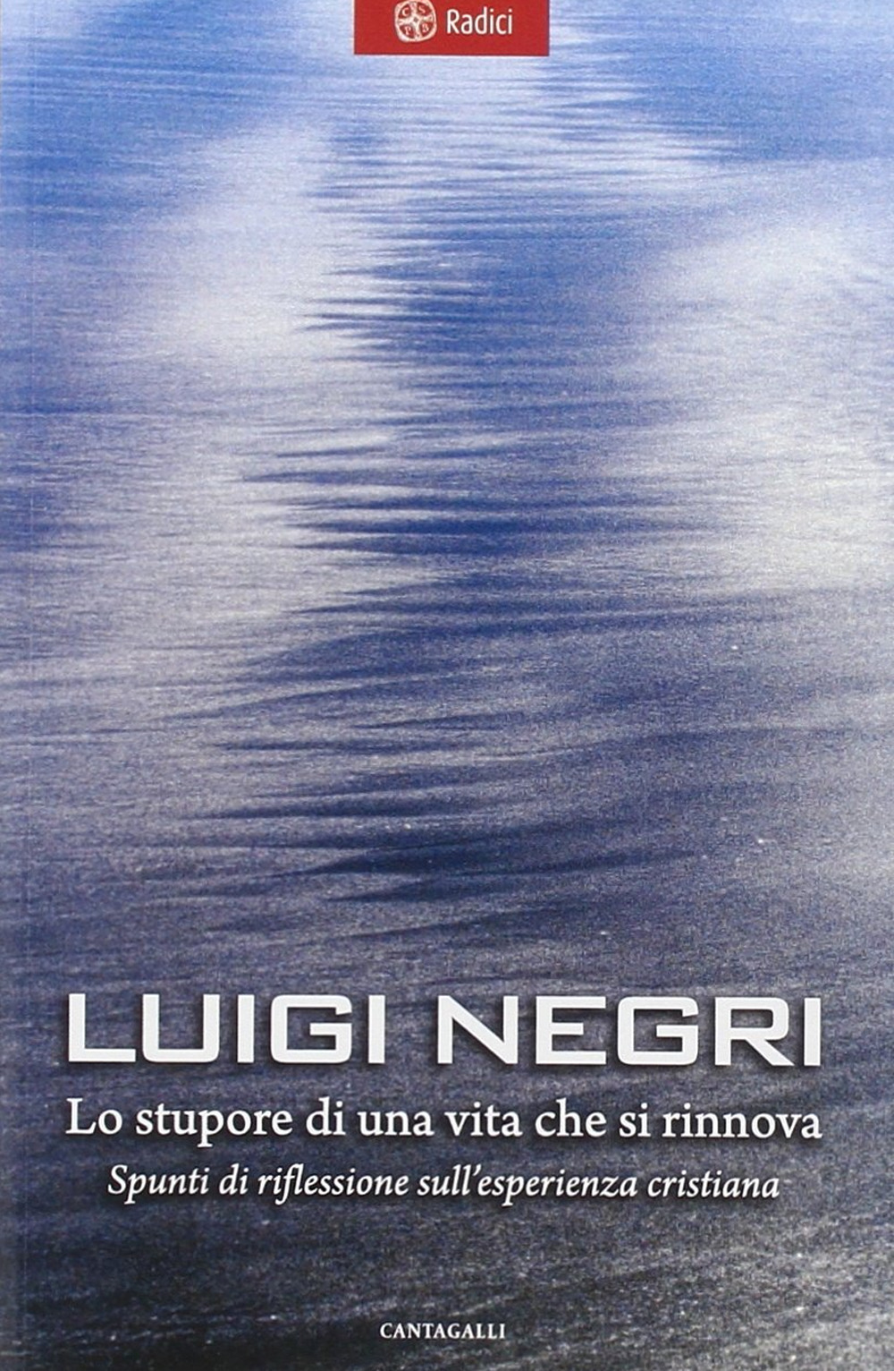 Lo stupore di una vita che si rinnova. Spunti di riflessione sull'esperienza cristiana
