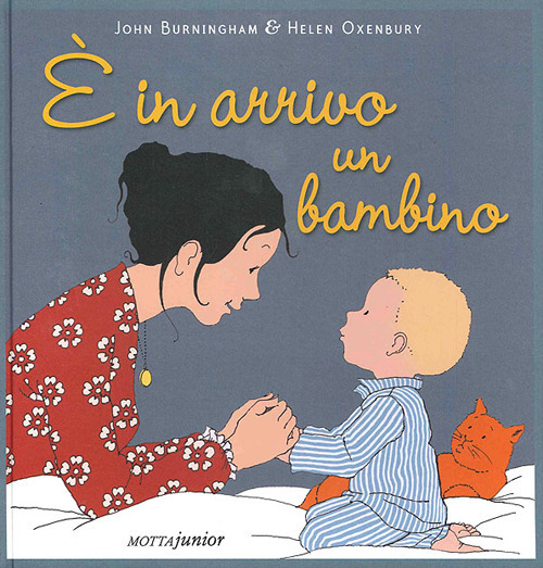 È in arrivo un bambino. Ediz. illustrata