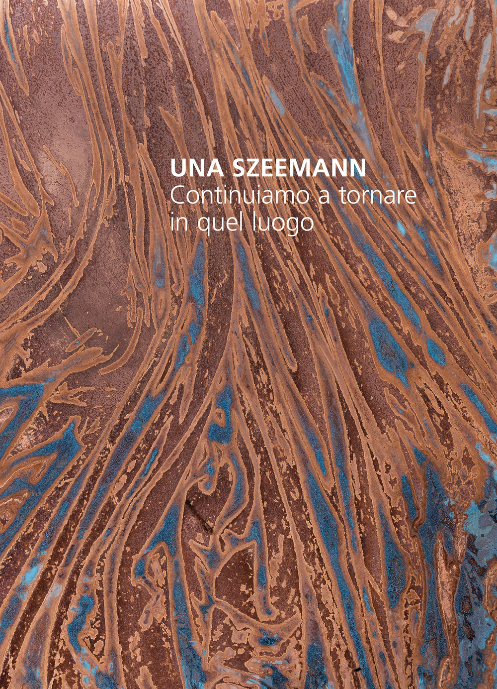 Una Szeemann. Continuiamo a tornare in quel luogo