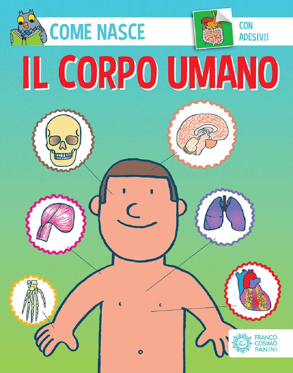 Il corpo umano. Ediz. a colori. Con Adesivi