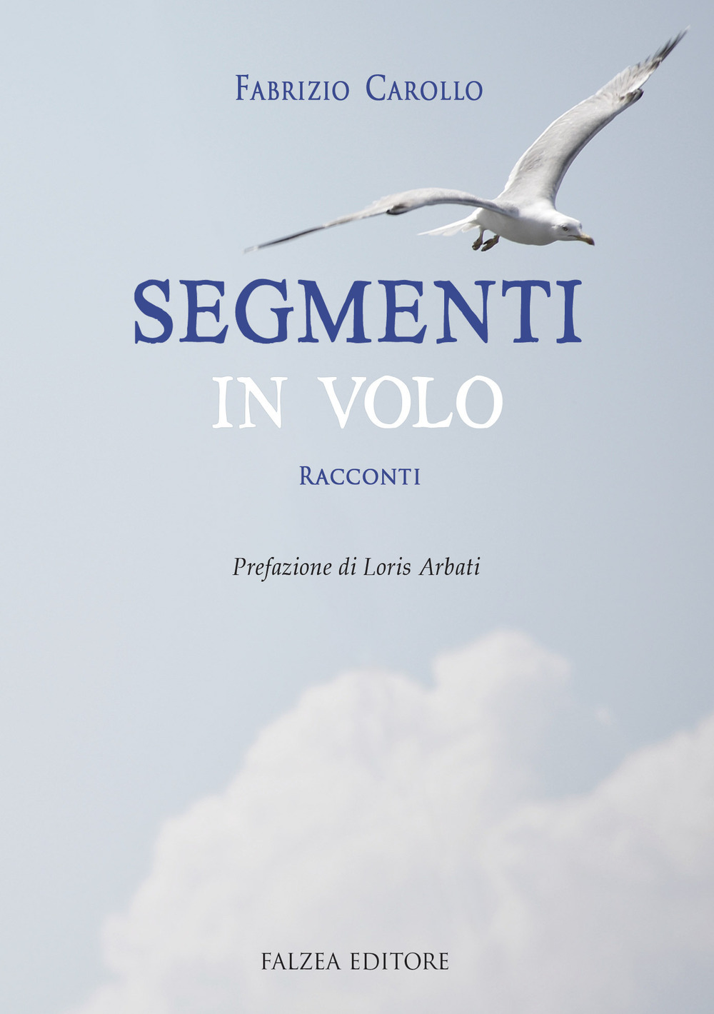 Segmenti in volo