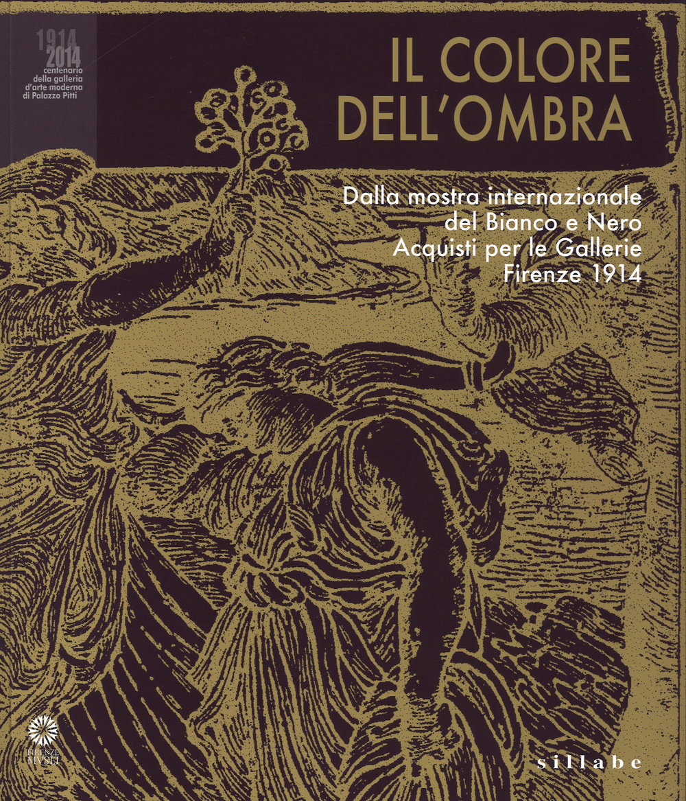 Il colore dell'ombra. Dalla mostra internazionale del bianco e nero. Acquisti per le gallerie Firenze 1914. Catalogo della mostra (Firenze, novembre 2014-Marzo 2015. Ediz. illustrata