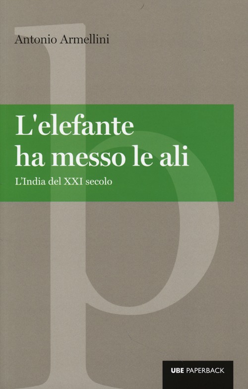 L'elefante ha messo le ali. L'India del XXI secolo