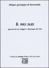 Il mio sud. Appunti di un viaggio a Santiago del Cile