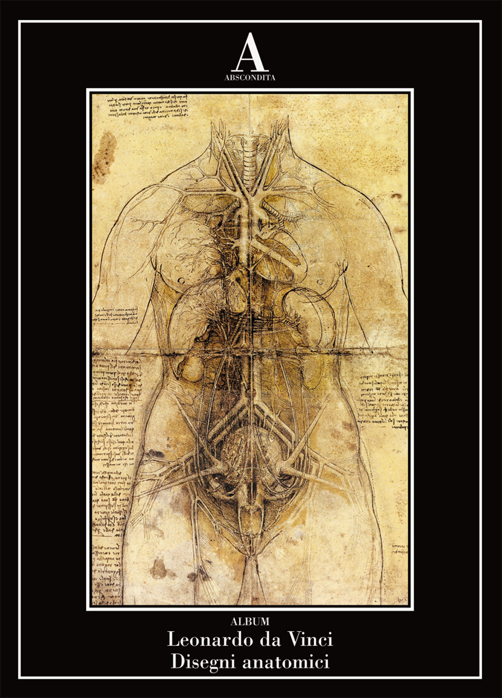 Disegni anatomici. Ediz. a colori