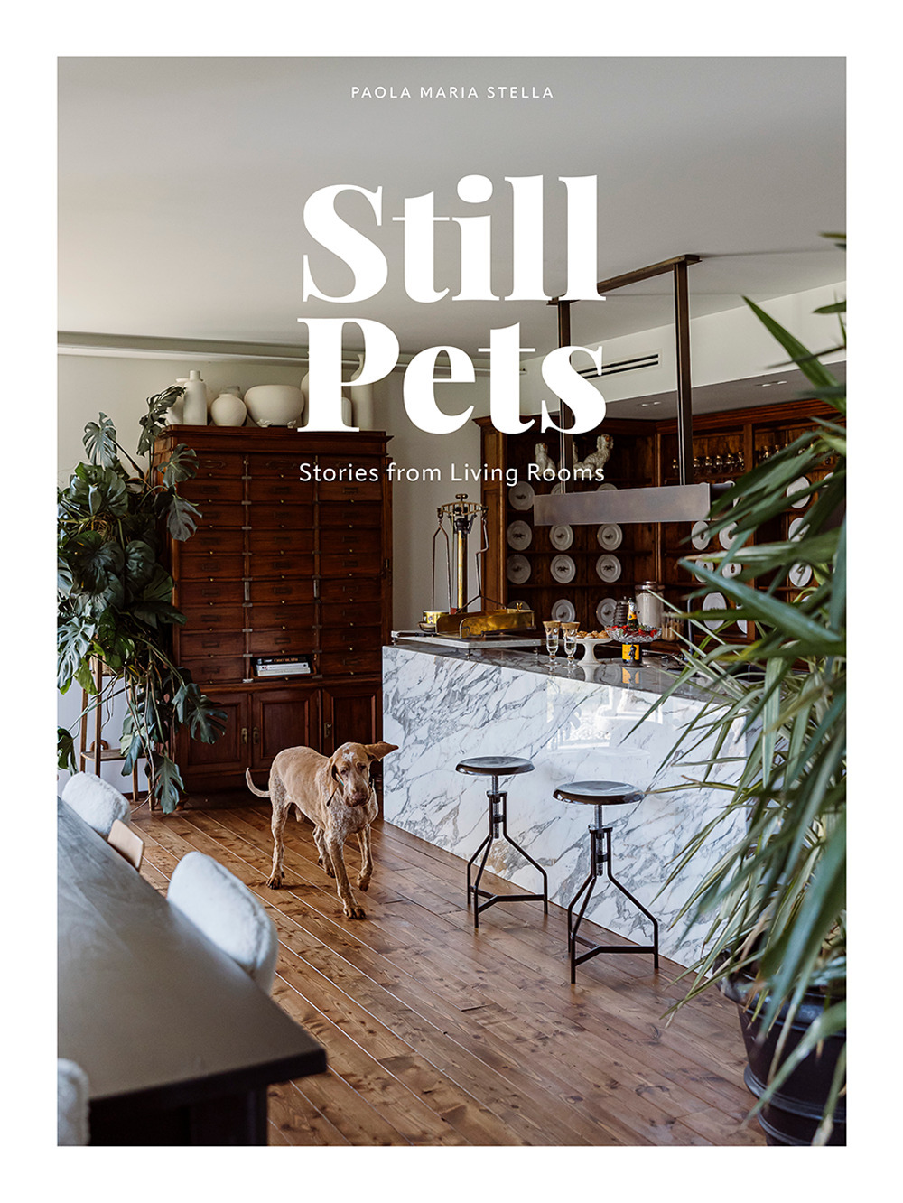 Still pets. Stories from living rooms. Ediz. italiana e inglese