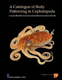 A catalogue of body patterning in Cephalopoda