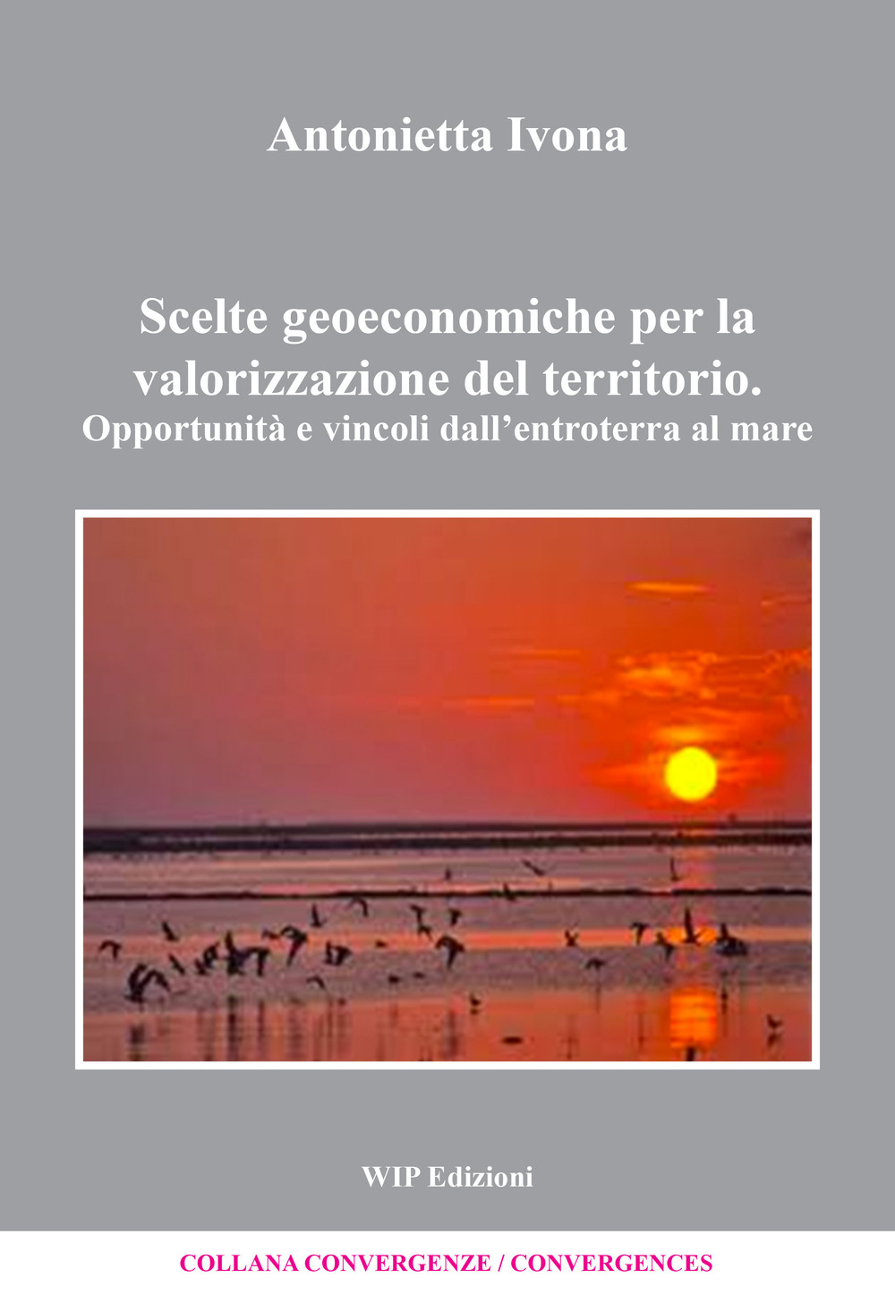 Scelte geoeconomiche per la valorizzazione del territorio
