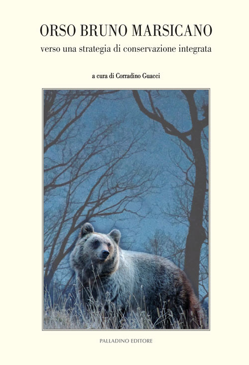 Orso bruno marsicano