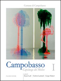 Campobasso. Capoluogo del Molise. Ediz. illustrata. Vol. 1: Storia, evoluzione urbanistica, economia e società